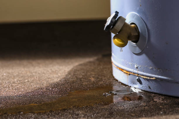 Best Water damage restoration near me  in Caldwell, ID
