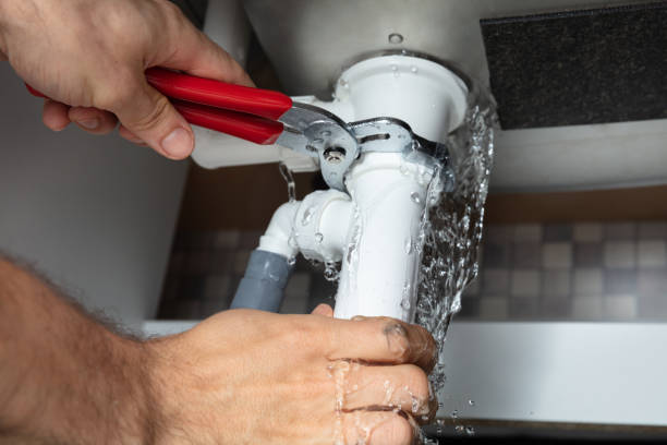 Best Professional water damage repair  in Caldwell, ID