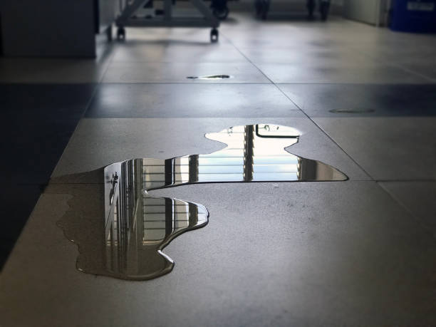 Best Local water damage restoration  in Caldwell, ID