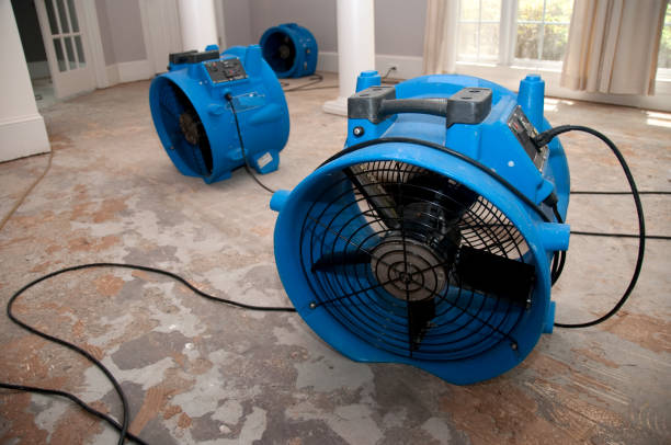 Best Water damage restoration process  in Caldwell, ID