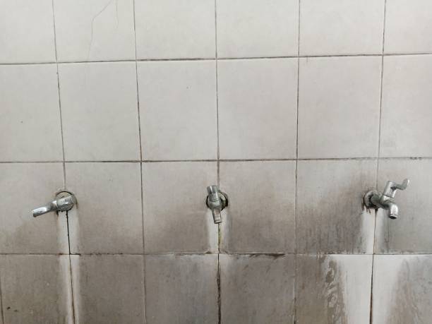 Best Sewage cleanup and water damage restoration  in Caldwell, ID