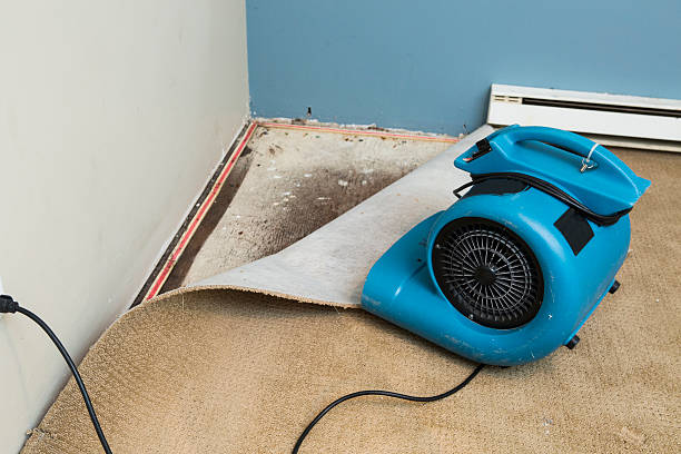Best Carpet water damage restoration  in Caldwell, ID